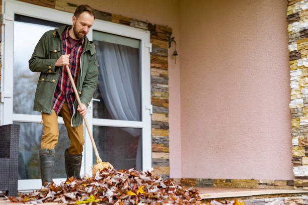 Best Basement Cleanout Services  in Eupora, MS